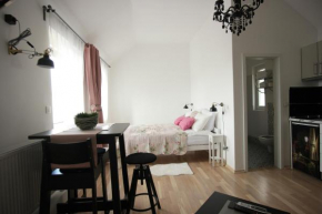 Отель Zagreb Studio Apt No.1  Загреб